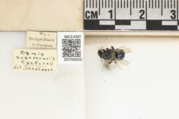 Media type: image;   Entomology 790650 Aspect: Labels